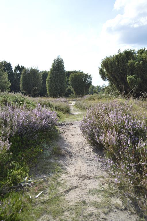 Rikobravo Villa Meppen Buitenkant foto